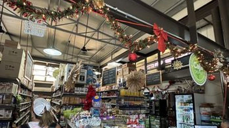 Mercado Ollin