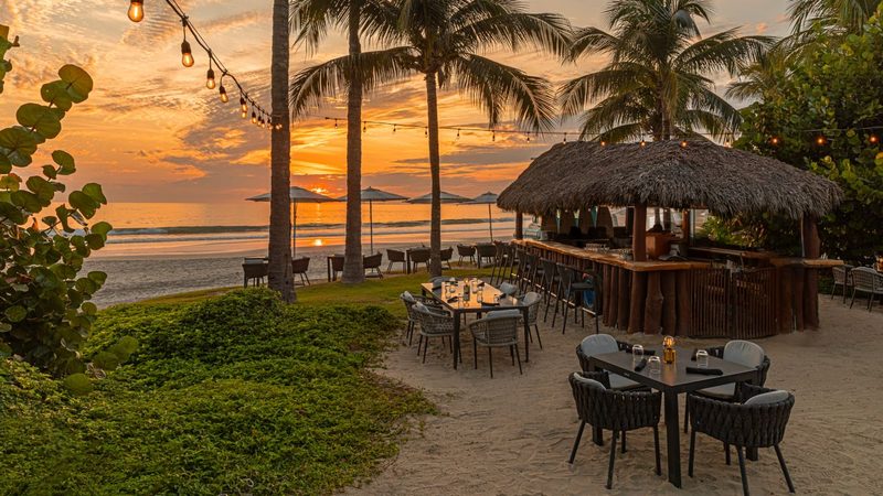 Chevychería — W Punta de Mita